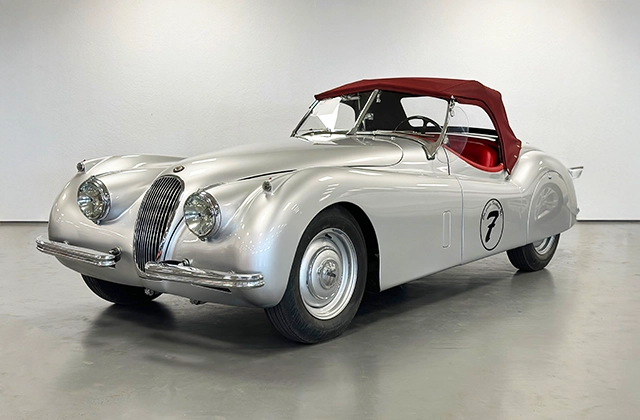 11 – Bräuer – Jaguar