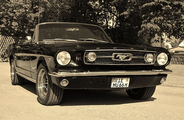 38 – Mauersberger – Mustang