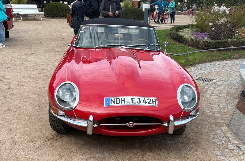 25 – Güntsche – Jaguar