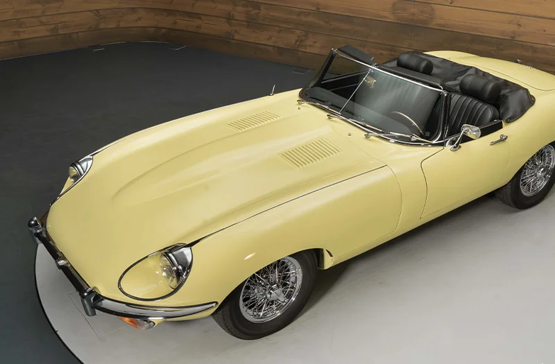 26 – Klaus – Jaguar