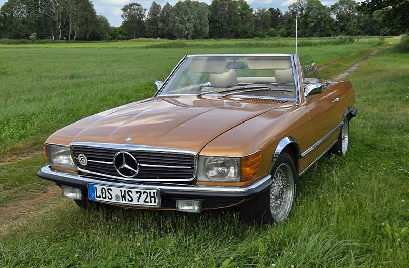31 – Wegelin – Mercedes-Benz